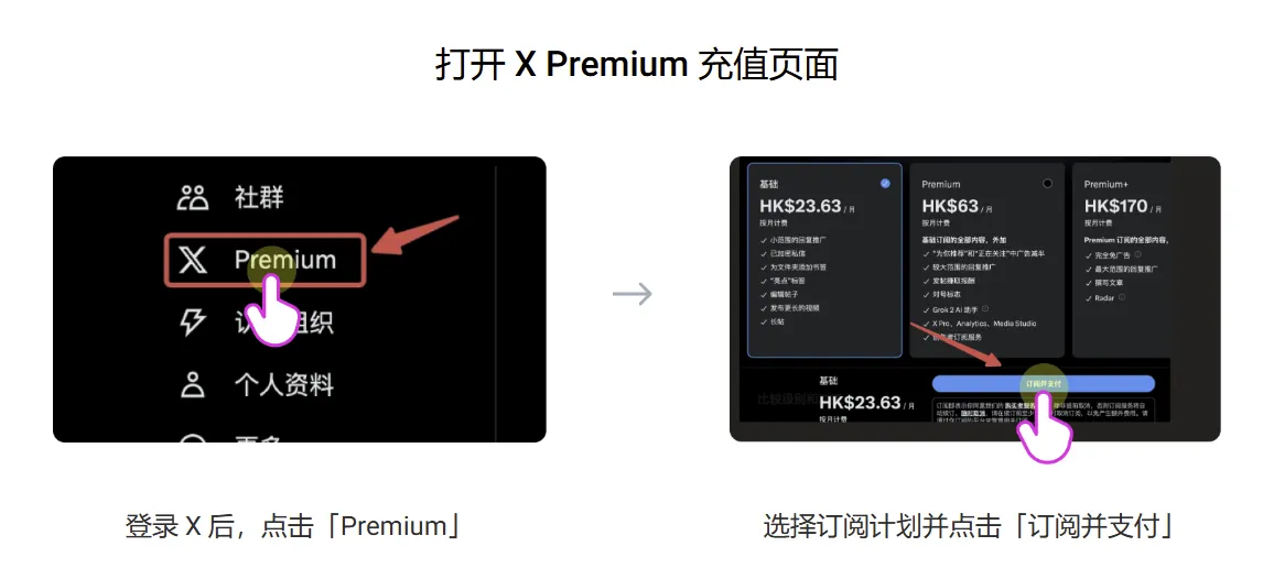 X/Twitter Plan页面