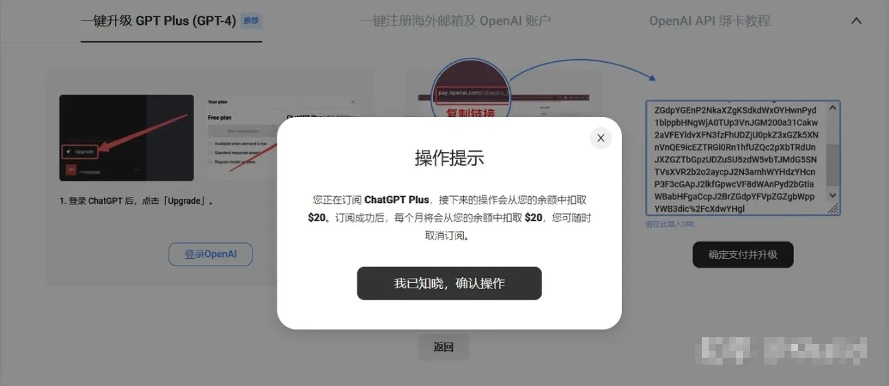 支付成功