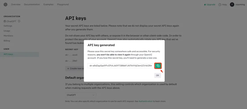 API Key 生成示意图