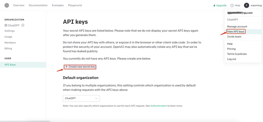 生成 API Key 示意图