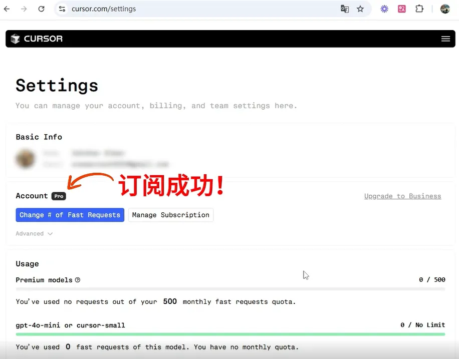 Cursor Pro 订阅成功