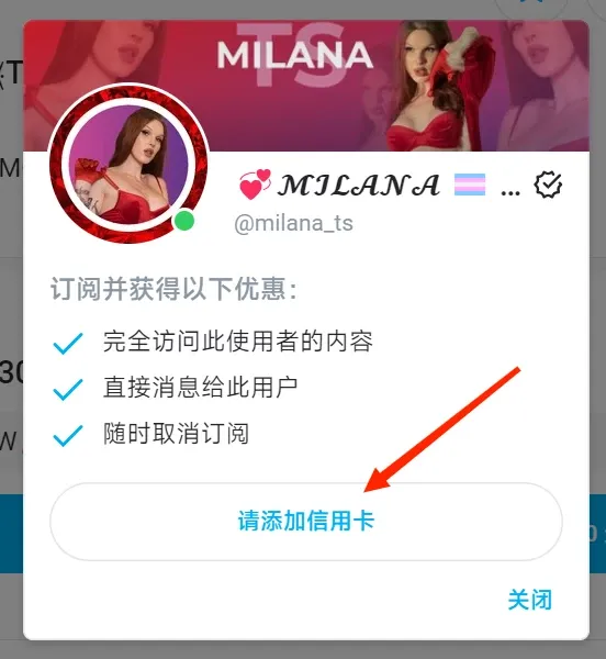OnlyFans付费订阅
