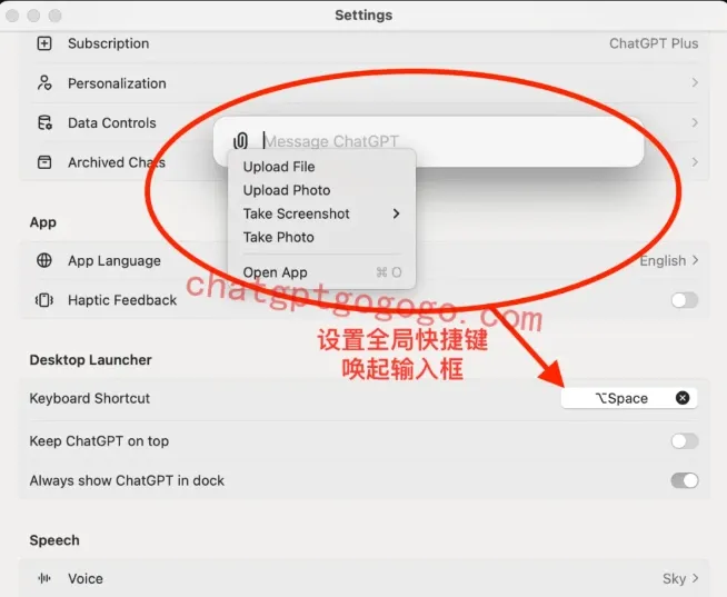 Mac 设置 ChatGPT