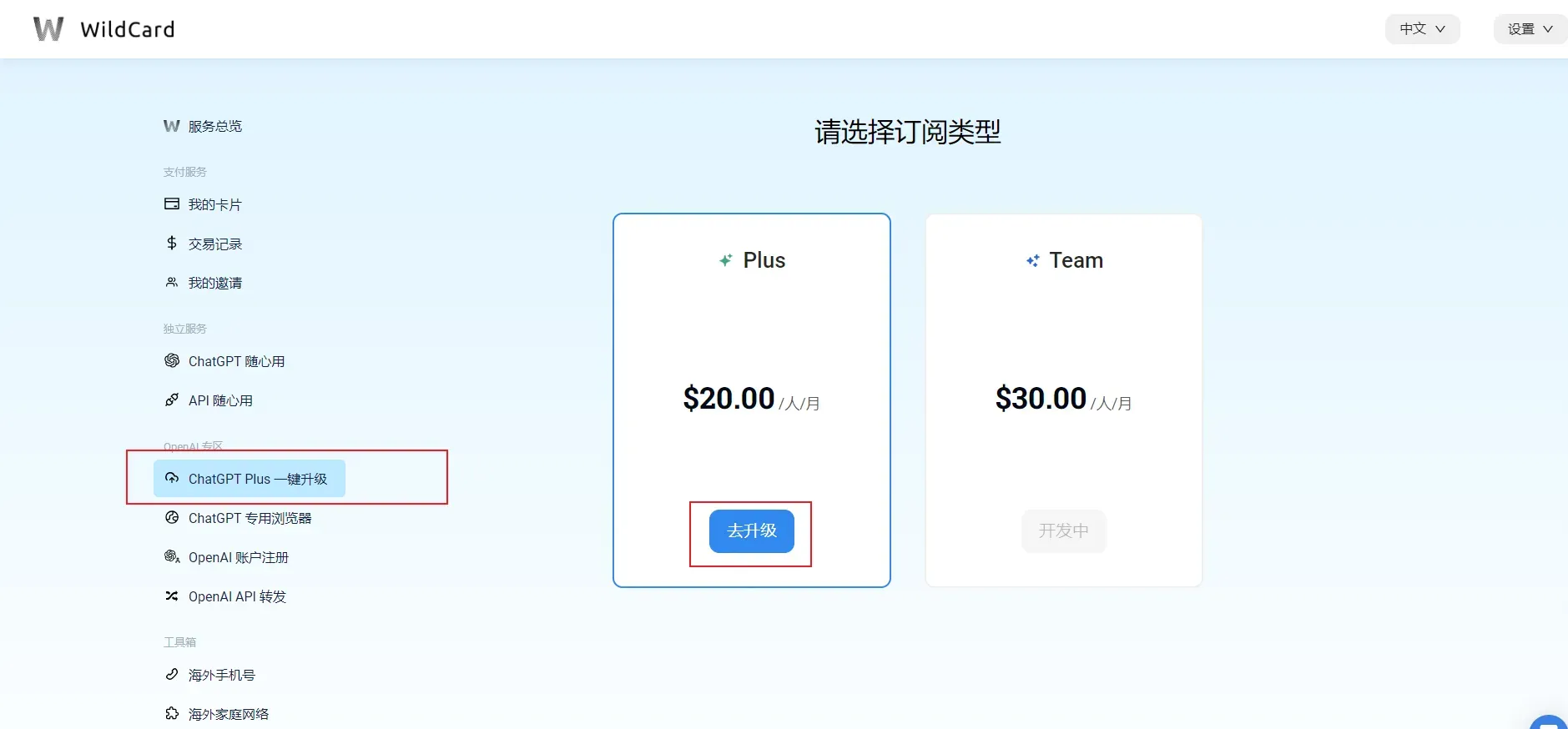 支付页面示例